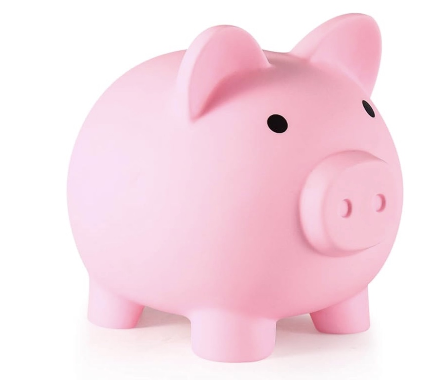  A piggy Bank stands in a field of white to signify setting a budget for your wedding in Greenville Spartanburg South Carolina